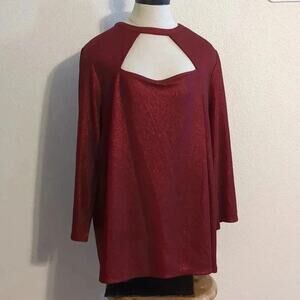 Lane Bryant Red shimmer long sleeve blouse‎ top size 22/24